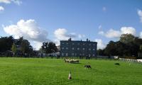 sheepdog trial training